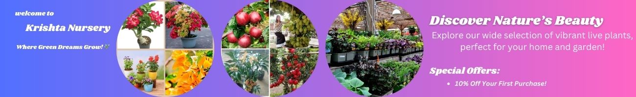 Krishta Nursery